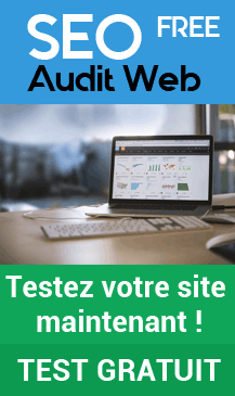 Outil seo audit gratuit